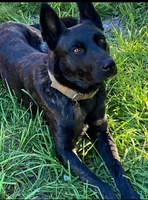 processed/9ae3441d-49a9-40e4-b945-b4f0fbfc2d74/facility/f87b3468-bb8d-486e-b06f-2d24013d587e