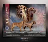 processed/9aea9e78-fd1a-486d-b202-08b7db7938f1/listing/5efa5ba7-7663-4357-ad50-65d87a4effef/95a7419f-b6c9-499c-8f47-862630ece59a