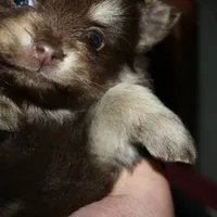 processed/9aed2466-46a3-4e7c-8484-ce60762501b8/facility/0ebe2009-fd47-4857-8b94-07c5112ba56c