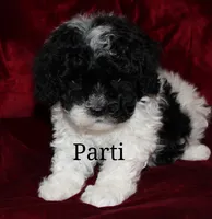 processed/9aed2466-46a3-4e7c-8484-ce60762501b8/listing/5a57a3b1-a9f4-4c83-9cb9-c1323060a790/0e07667d-62c0-4f12-8142-b0ead93a76be