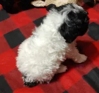 processed/9aed2466-46a3-4e7c-8484-ce60762501b8/listing/5a57a3b1-a9f4-4c83-9cb9-c1323060a790/c469c9b5-6243-43a1-ba9b-b1a887cd3727