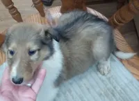 processed/9af186a7-b7fd-41f4-aec4-9093f7c2d3b7/listing/1da3f591-30a8-4bc7-9076-7be19c05e1f8/33f01cba-9af5-4b4a-adc9-80b44a8462af