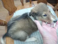 processed/9af186a7-b7fd-41f4-aec4-9093f7c2d3b7/listing/1da3f591-30a8-4bc7-9076-7be19c05e1f8/384476cf-519f-45d1-b1f1-9e7c03928982