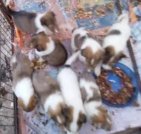 processed/9af186a7-b7fd-41f4-aec4-9093f7c2d3b7/listing/1da3f591-30a8-4bc7-9076-7be19c05e1f8/5c9ba609-f4f0-4eeb-91e0-c49574c73e80