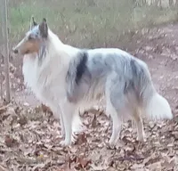 processed/9af186a7-b7fd-41f4-aec4-9093f7c2d3b7/listing/1da3f591-30a8-4bc7-9076-7be19c05e1f8/95881b99-ff5b-4b00-b8a2-6cb5e1e6e46c