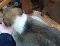 processed/9af186a7-b7fd-41f4-aec4-9093f7c2d3b7/listing/1da3f591-30a8-4bc7-9076-7be19c05e1f8/b00298f6-256c-4994-991d-42a0805fd899