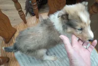 processed/9af186a7-b7fd-41f4-aec4-9093f7c2d3b7/listing/48fb3f20-661e-40c6-9d75-0140a943c1da/296ff52a-f50d-490c-9685-5b1a5076e6d3