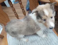 processed/9af186a7-b7fd-41f4-aec4-9093f7c2d3b7/listing/48fb3f20-661e-40c6-9d75-0140a943c1da/83bc20bc-afa1-4774-ab78-198a2159a989