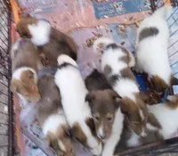 processed/9af186a7-b7fd-41f4-aec4-9093f7c2d3b7/listing/48fb3f20-661e-40c6-9d75-0140a943c1da/9da342d0-f8af-4d68-9be5-4af324d01789