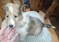 processed/9af186a7-b7fd-41f4-aec4-9093f7c2d3b7/listing/48fb3f20-661e-40c6-9d75-0140a943c1da/ae672025-18fd-456c-b940-257bc8401f21