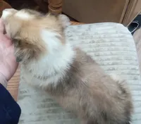 processed/9af186a7-b7fd-41f4-aec4-9093f7c2d3b7/listing/48fb3f20-661e-40c6-9d75-0140a943c1da/ee975765-8bce-4f7c-b58d-609b392ff20d