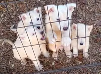 processed/9af186a7-b7fd-41f4-aec4-9093f7c2d3b7/listing/78ae8970-cf46-4881-8cd0-f535b7f69c7c/641bc4bd-c2e9-41fb-99b2-24c972ece20f