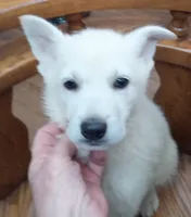 processed/9af186a7-b7fd-41f4-aec4-9093f7c2d3b7/listing/78ae8970-cf46-4881-8cd0-f535b7f69c7c/c22d5a65-a49d-48a9-92ab-a0061ffb8b86