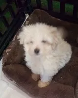 processed/9af186a7-b7fd-41f4-aec4-9093f7c2d3b7/listing/ada8db92-be41-498d-b34e-384a4d8a7ea2/33854161-0f53-49db-b67a-38a26676be81