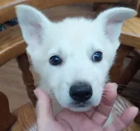 processed/9af186a7-b7fd-41f4-aec4-9093f7c2d3b7/listing/bdfb3bac-e060-4474-884f-f0959259ef77/39818e0a-6ce5-4d35-9bcb-127b6a236ed7