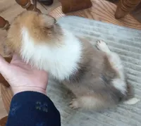 processed/9af186a7-b7fd-41f4-aec4-9093f7c2d3b7/listing/e0ac5709-bb24-4be5-91bf-3a1e6f6db249/2f6387ca-3e17-4199-a897-ab19f0e38dbc