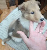 processed/9af186a7-b7fd-41f4-aec4-9093f7c2d3b7/listing/e0ac5709-bb24-4be5-91bf-3a1e6f6db249/99d0ccee-7beb-41c8-bcb4-391517f6624a