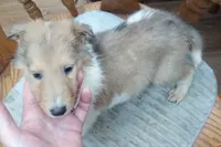 processed/9af186a7-b7fd-41f4-aec4-9093f7c2d3b7/listing/e0ac5709-bb24-4be5-91bf-3a1e6f6db249/a0a1f53d-816a-4de1-97bd-d57e66e03499