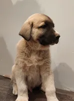 processed/9af6d4d0-d327-439f-815a-e202ca820b4b/listing/159c57b2-06ea-4473-bba0-e7cc9e77c4d3/e6bf696c-27fc-466c-bac5-3189cf5433a1