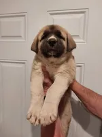 processed/9af6d4d0-d327-439f-815a-e202ca820b4b/listing/159c57b2-06ea-4473-bba0-e7cc9e77c4d3/fbcea63c-f015-4623-9a6d-ef7d160c155e