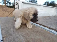 processed/9af6d4d0-d327-439f-815a-e202ca820b4b/listing/efbfd64a-b374-4f78-8b7a-5c18c6016657/13b5b9ea-2704-4537-aac8-6aa9cd4cf309