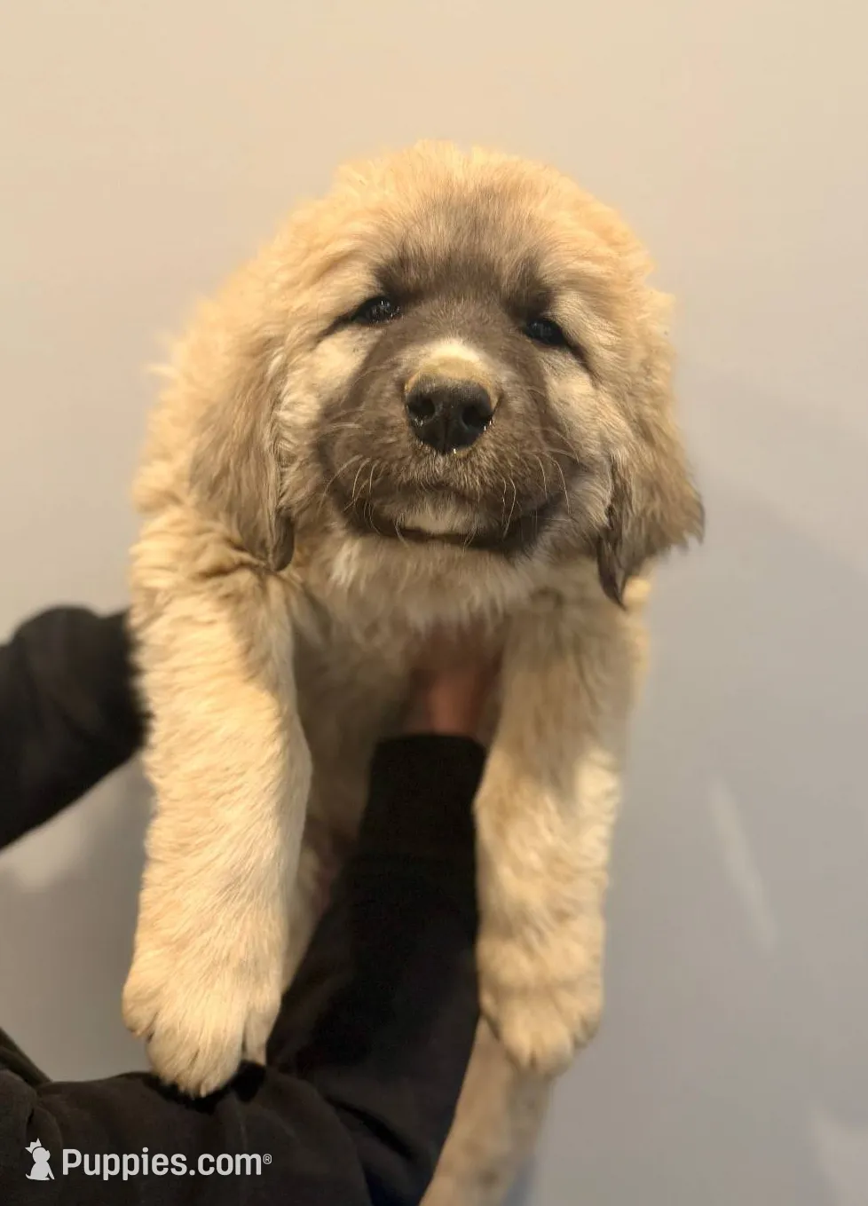 processed/9af6d4d0-d327-439f-815a-e202ca820b4b/listing/efbfd64a-b374-4f78-8b7a-5c18c6016657/c9dcf642-7894-4b4f-aa0f-7222fac41f0a