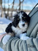 processed/9af733c8-599e-49ed-bb7a-d351510224a2/listing/4b01f09c-58c3-4cab-9c61-3888a756961d/f190ec05-3aa3-4d05-a5d8-e7fb0d1b73b0