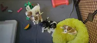 processed/9af9e750-73e4-4943-858c-fb119b8e5a8f/facility/0d2a89fa-f76c-453d-abcc-b3b2f110a628