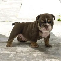 processed/9b00b6ba-1b6b-40cf-90e8-5a0de98589fd/listing/b7a8726b-73fa-4624-9cd1-1a07917d93ed/54af2a06-e847-4652-a9d1-bfdde6930c6b