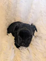 processed/9b078cf3-5042-4194-abbb-939134ede0ed/listing/535e7afb-64f8-458b-b986-5cf6b4ea1d43/0e89564f-efda-4668-ae4c-21c64c075730