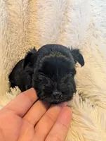 processed/9b078cf3-5042-4194-abbb-939134ede0ed/listing/535e7afb-64f8-458b-b986-5cf6b4ea1d43/e625ac49-bec4-4162-b568-6fd9293bfa60