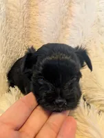 processed/9b078cf3-5042-4194-abbb-939134ede0ed/listing/535e7afb-64f8-458b-b986-5cf6b4ea1d43/ed559a85-3254-4164-872c-6b7a8ac37de4