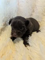 processed/9b078cf3-5042-4194-abbb-939134ede0ed/listing/b5271859-8874-471a-a437-68af3c110122/2a0869dc-d0df-4e76-ae86-088f6f8b68a1