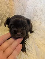 processed/9b078cf3-5042-4194-abbb-939134ede0ed/listing/b5271859-8874-471a-a437-68af3c110122/424560f8-6796-4fe1-8c48-e15cb2398842