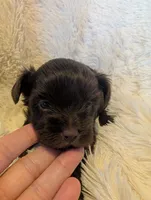 processed/9b078cf3-5042-4194-abbb-939134ede0ed/listing/b5271859-8874-471a-a437-68af3c110122/7048296a-f523-4760-bf18-eb72b9f398c1