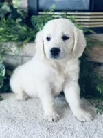 processed/9b0eb685-1e45-4aa9-bf08-f37fce989f78/listing/390007bf-fe84-443c-aa1b-e838d444aefc/e35bb154-e120-4bac-92ba-736908f042c6