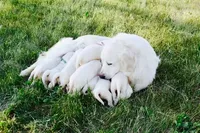 processed/9b0eb685-1e45-4aa9-bf08-f37fce989f78/listing/9f602f6e-2ea9-4fb3-bbda-68ebabf805a3/ae45b10b-e549-4087-83ce-45da323ceb72