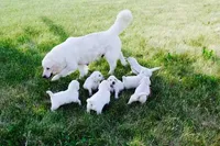 processed/9b0eb685-1e45-4aa9-bf08-f37fce989f78/listing/b07076ea-b4b6-4873-bb6a-8eedb41c93f8/0d323f90-c7d4-456e-ac6e-76fa244440e0