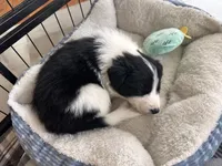 processed/9b153ea8-437b-4e32-85fc-5b5cc18c68d4/listing/00f357ec-afa4-4dcf-b599-3e91774d86a1/00f46f39-e4b0-48d7-99df-40ca56ba96f0