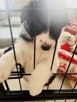 processed/9b153ea8-437b-4e32-85fc-5b5cc18c68d4/listing/00f357ec-afa4-4dcf-b599-3e91774d86a1/06c34195-06f8-4819-b06f-27ca27bf0760