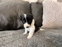 processed/9b153ea8-437b-4e32-85fc-5b5cc18c68d4/listing/00f357ec-afa4-4dcf-b599-3e91774d86a1/6c1ad9ee-2ca5-400e-a3d3-d2d4e9c52867