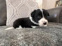 processed/9b153ea8-437b-4e32-85fc-5b5cc18c68d4/listing/00f357ec-afa4-4dcf-b599-3e91774d86a1/b8e54d7d-a055-4c95-a5a9-9786a120956f