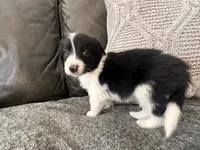 processed/9b153ea8-437b-4e32-85fc-5b5cc18c68d4/listing/00f357ec-afa4-4dcf-b599-3e91774d86a1/c4962107-ad99-460f-adb3-01ba720f644f