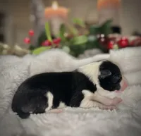 processed/9b153ea8-437b-4e32-85fc-5b5cc18c68d4/listing/00f357ec-afa4-4dcf-b599-3e91774d86a1/c8712a8f-2e7d-4e67-8d06-79cf3b0522d6