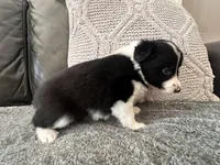 processed/9b153ea8-437b-4e32-85fc-5b5cc18c68d4/listing/00f357ec-afa4-4dcf-b599-3e91774d86a1/cde5fa53-8091-4246-8417-17162e192a81