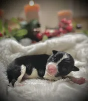 processed/9b153ea8-437b-4e32-85fc-5b5cc18c68d4/listing/00f357ec-afa4-4dcf-b599-3e91774d86a1/ee367048-9f24-4a26-9156-331c5e9c00a3