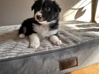 processed/9b153ea8-437b-4e32-85fc-5b5cc18c68d4/listing/00f80259-0041-4ab8-8ed4-73d7677f1691/843d2ec6-5a05-4941-8f80-bb3d7aed1dd8