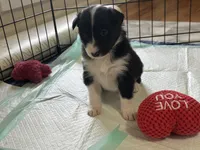 processed/9b153ea8-437b-4e32-85fc-5b5cc18c68d4/listing/00f80259-0041-4ab8-8ed4-73d7677f1691/92eb766a-b732-4337-a6bb-7b2f8325d093