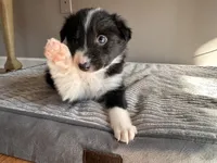 processed/9b153ea8-437b-4e32-85fc-5b5cc18c68d4/listing/00f80259-0041-4ab8-8ed4-73d7677f1691/df242fcb-3c15-4a1c-af8c-c14d5188b43c