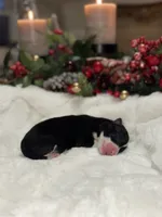 processed/9b153ea8-437b-4e32-85fc-5b5cc18c68d4/listing/00f80259-0041-4ab8-8ed4-73d7677f1691/f090cc21-725d-4805-8f48-f6ea7b37961a